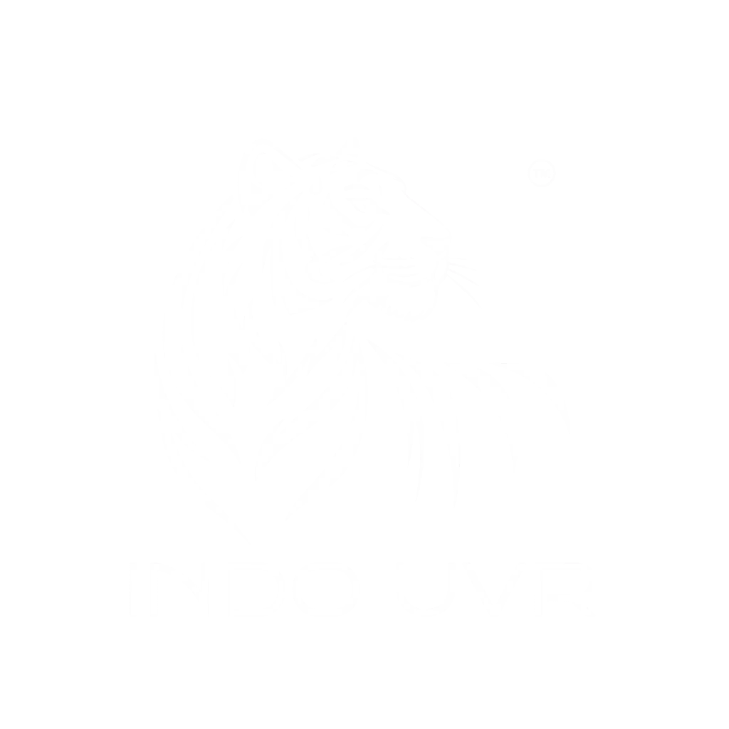 a lion logo transparent